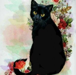 Meet your Posher, Violeta